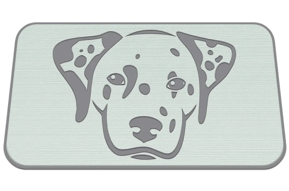 Dalmatian - SF/SG