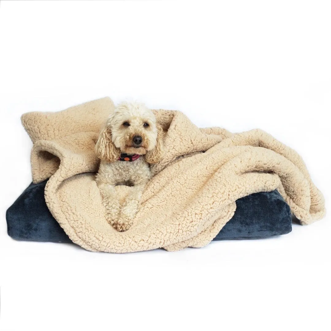 Double Fleeced Cuddler Pet Blanket And Pillow Set Biscuit
